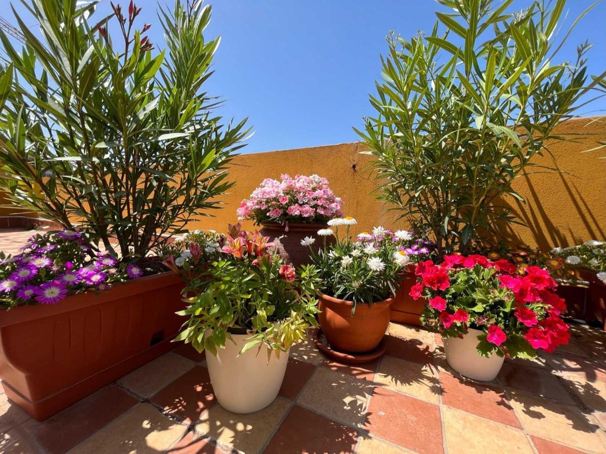 Apartamento Casa Yvona Alguer Exterior foto